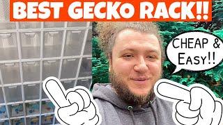 BEST CRESTED GECKO BREEDING RACK & SETUP!!