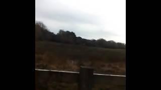 A ride in the Orchard