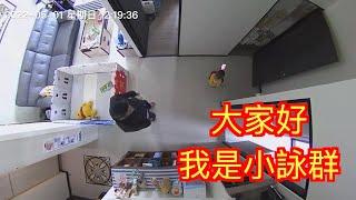 不愧是ＹＴ屆最小直播主啊！[金sir湯母]實境秀Day635寶寶成長日記！你知道養小孩會花多少錢? Kinsirmumu Reality Show Baby growth diary