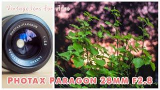 Photax Paragon 28mm f2.8 - Vintage lens for video - Asystasia gangetica 赤道櫻草