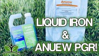 LIQUID IRON FOR LAWNS & ANUEW PGR