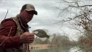 Using a Simple Method for Catching Crappie from the Bank : Old Hickory Lake