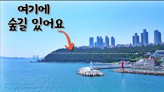 HAEUNDAE MOONTAN ROAD | 해운대 문텐로드 숲길 걸어보기 | 대중교통