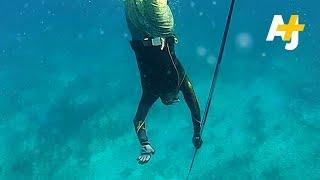 Spearfishing For Dinner In Miami Beach