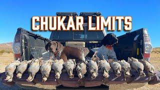 I finally got my first LIMIT hunting CHUKAR!