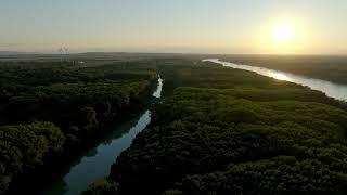 Floodplain landscape, danube wetlands, donau auen national park, lower austria FREE STOCK VIDEO