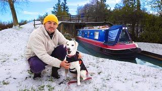 A week in the life of a boat dog | Winter narrowboat life - 262