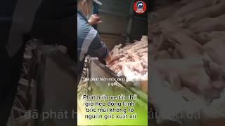 Thực phẩm bẩn không chỉ gây tổn hại sức khỏe, mà còn là mối đe dọa âm thầm đến cộng đồng #tintuc