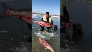 Water is frozen  Fish are dying #shorts #ytshorts