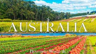 Australia 4K - Spring Wonders: Blooming Landscapes and Natural Beauty - Relaxing Piano Music