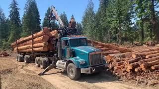 Logging Job 6