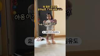 본건 많은데 몸이 안따라주는 두돌아기의 생존비법 7가지 ㄷㄷ