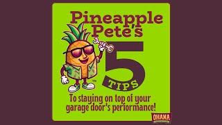 Pineapple Pete's Garage Door Tips - Garage Door Performance  - OHANA Garage Doors