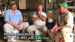 SP 1 & MST   Wheat Applications