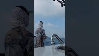 Trying to catch fish in the sea#fishvideo #seafishing #fish #seafish #foryou