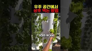 우주 공간에서 상추 먹는 방법