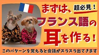 フランス語の耳を作る！このパターンを覚えるだけで、会話力が飛躍的にアップします！フレーズ聞き流し [devoir] #211