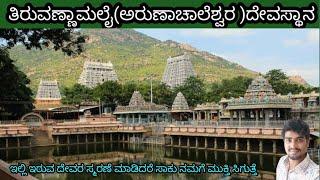 Thiruvannamalai (Arunachaleswara) temple / One of the five gods is Agni Linga