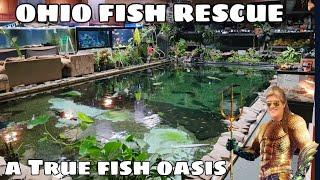 So many fish come and go at the rescue