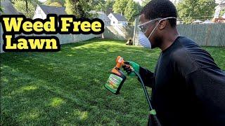 Use Spectracide Weed Stop For Lawns Hose End Weed Sprayer To Eliminate ALL LAWN WEEDS FAST