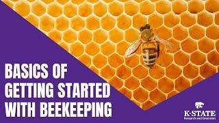 Basics of Getting Started with Beekeeping