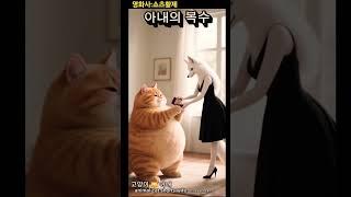 고양이  아내의복수 #고양이 #아내 #복수 #cat #wife #revenge #movie