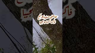 نعيب زماننا والعيب فينا   وما لزمانا عيب سوانا.