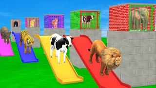 Cow Elephant Lion Gorilla Tiger T-Rex 3d Animal Long Slide Game Funny 3d Paint Animals Cage Game