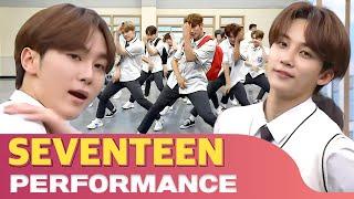 SEVENTEEN's performance 30min #SVENTEEN