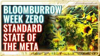 MTG Standard Bloomburrow Week 0 | MTG Rebellion State of the Meta