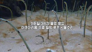 가든일 3시간 물멍 명상  아쿠아리움 수중 힐링 루프 + 물소리