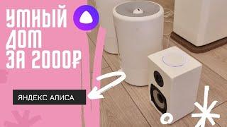 Умный дом за 2000₽ Xiaomi + Яндекс Алиса Делаем умные увлажнители.