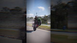 Ninja super bike wheelie #wheelies#motoride#superbike#bikelover#ride#bikeshorts#automobile