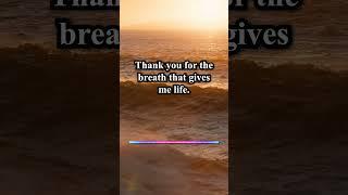 Powerful Good Morning Gratitude Affirmations | Thank You Morning Affirmations