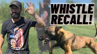 WHISTLE RECALL TRAINING! EVERY DOG SHOULD KNOW THIS!