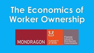 The Economics of Worker Cooperatives: The Good & The Bad | A Critique of Market Socialism