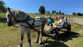 Viața Simplă de la Țară: O Aventură cu Căruța în Bucovina