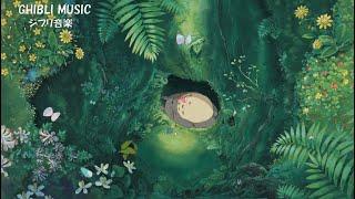 [BGM for work/healing/study]  Ghibli Piano Medley  Studio Ghibli Concert