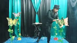 butterfly magic act International magic competition winning magic act, 