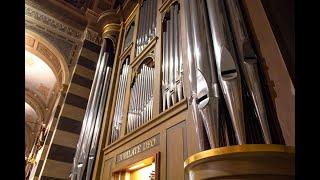 Lyndon Hills plays Tuba Tune, by Norman Cocker