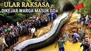 MERINDING.! Ular Raksasa Di Kejar Warga Masuk Goa Pertapaan