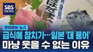 급식에 참치가…일본 '대 풍어', 마냥 웃을 수 없는 이유 / SBS / 모아보는 뉴스