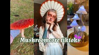 Mushroom Tiktoks