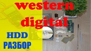 Подробная разборка жёсткого диска western digital 500GB