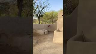 Simple Village Life in Pakistan 