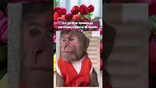 . 8.03. 2025. Иркутск.