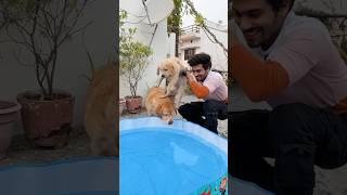 Leo ke baby ki first bath #shorts | Anant Rastogi