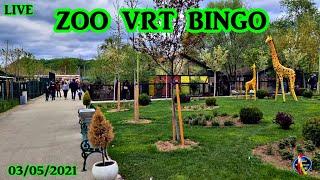 ZOO VRT BINGO TUZLA //LIVE // 2021//