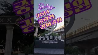 #서울시 중량천 장미공원 축제가 지나고 다녀왔어요 그래도 추억을 남겼습니다 ️