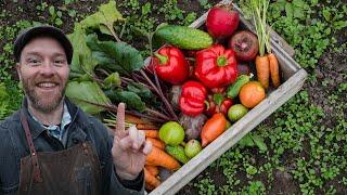 10 Steps to Growing Most of Your Own Food (In Less Than 10 Hours A Week)